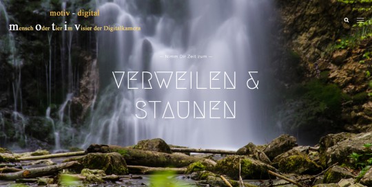 Website in Wordpress / motiv-digital